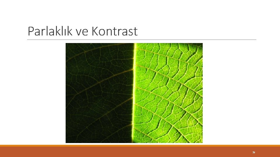 Parlaklık ve Kontrast 39 Parlaklık ve Kontrast 39