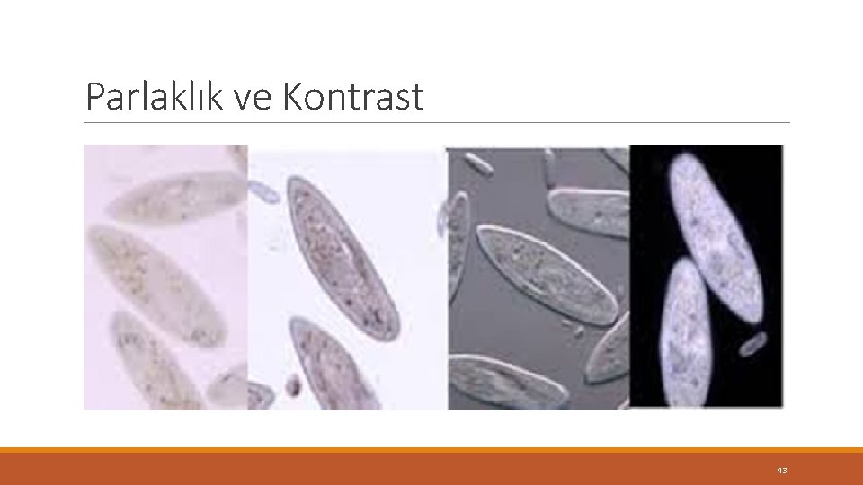 Parlaklık ve Kontrast 43 Parlaklık ve Kontrast 43