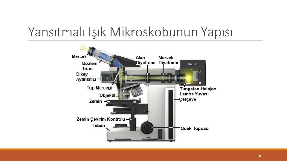 Yansıtmalı Işık Mikroskobunun Yapısı 49 Yansıtmalı Işık Mikroskobunun Yapısı 49