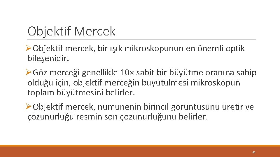 Objektif Mercek ØObjektif mercek, bir ışık mikroskopunun en önemli optik bileşenidir. ØGöz merceği genellikle Objektif Mercek ØObjektif mercek, bir ışık mikroskopunun en önemli optik bileşenidir. ØGöz merceği genellikle