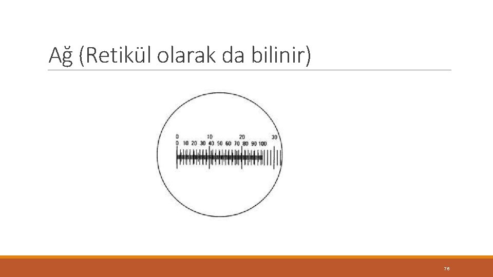 Ağ (Retikül olarak da bilinir) 76 Ağ (Retikül olarak da bilinir) 76
