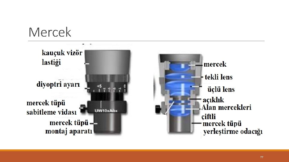 Mercek 77 Mercek 77