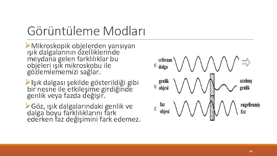 Görüntüleme Modları ØMikroskopik objelerden yansıyan ışık dalgalarının özelliklerinde meydana gelen farklılıklar bu objeleri ışık Görüntüleme Modları ØMikroskopik objelerden yansıyan ışık dalgalarının özelliklerinde meydana gelen farklılıklar bu objeleri ışık