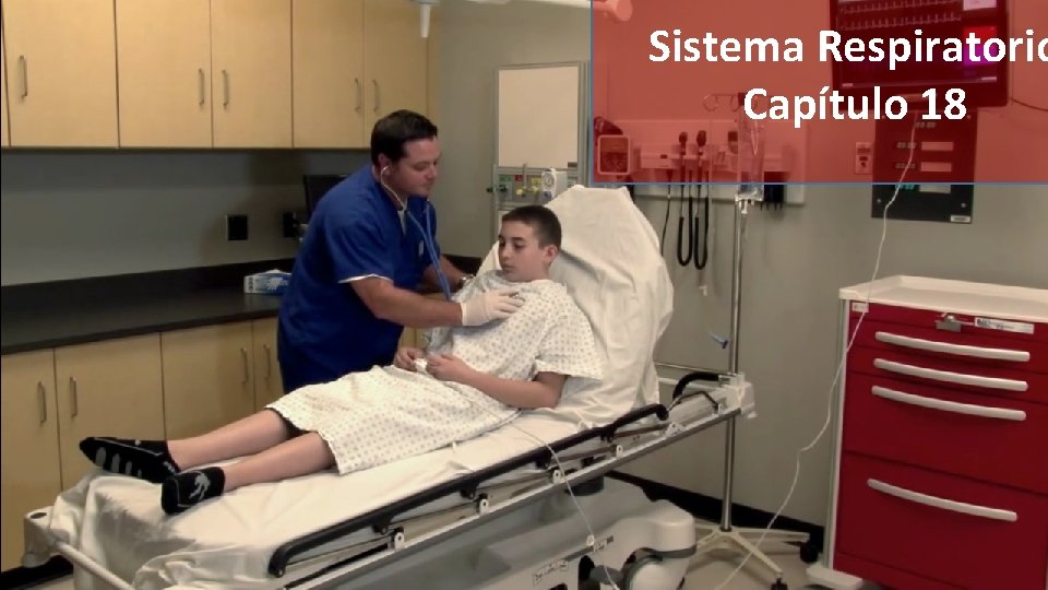 Sistema Respiratorio Capítulo 18 