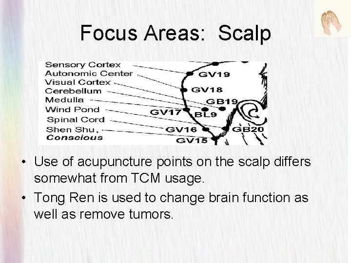 Focus Areas: Scalp • Use of acupuncture points on the scalp differs somewhat from