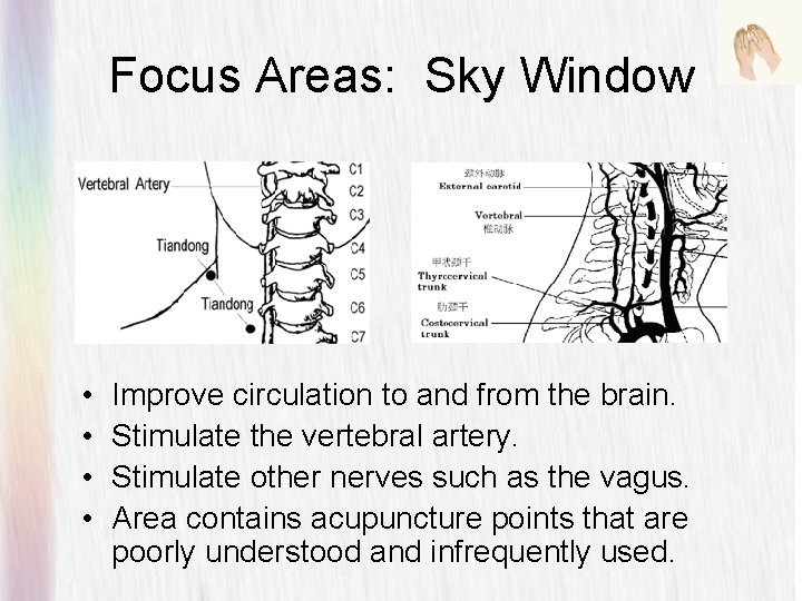 Focus Areas: Sky Window • • Improve circulation to and from the brain. Stimulate