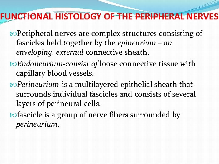 FUNCTIONAL HISTOLOGY OF THE PERIPHERAL NERVES Peripheral nerves are complex structures consisting of fascicles FUNCTIONAL HISTOLOGY OF THE PERIPHERAL NERVES Peripheral nerves are complex structures consisting of fascicles