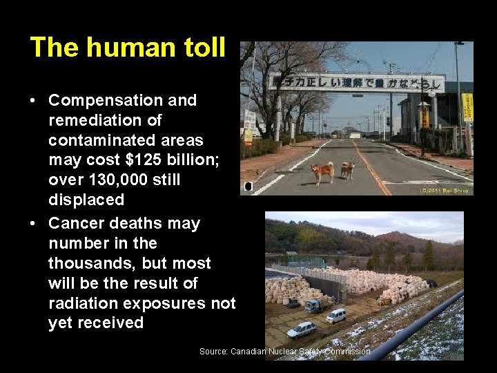 The human toll • Compensation and remediation of contaminated areas may cost $125 billion; The human toll • Compensation and remediation of contaminated areas may cost $125 billion;