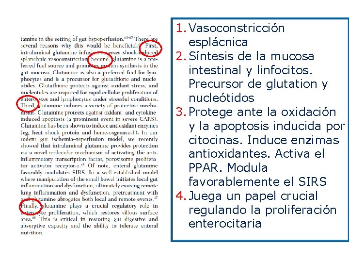 1. Vasoconstricción esplácnica 2. Síntesis de la mucosa intestinal y linfocitos. Precursor de glutation
