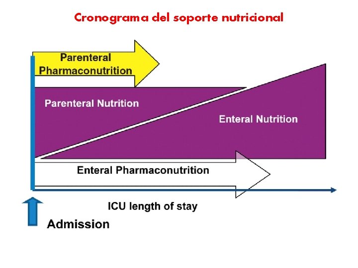 Cronograma del soporte nutricional 