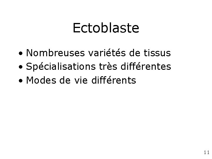 Ectoblaste • Nombreuses variétés de tissus • Spécialisations très différentes • Modes de vie