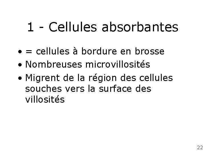 1 - Cellules absorbantes • = cellules à bordure en brosse • Nombreuses microvillosités