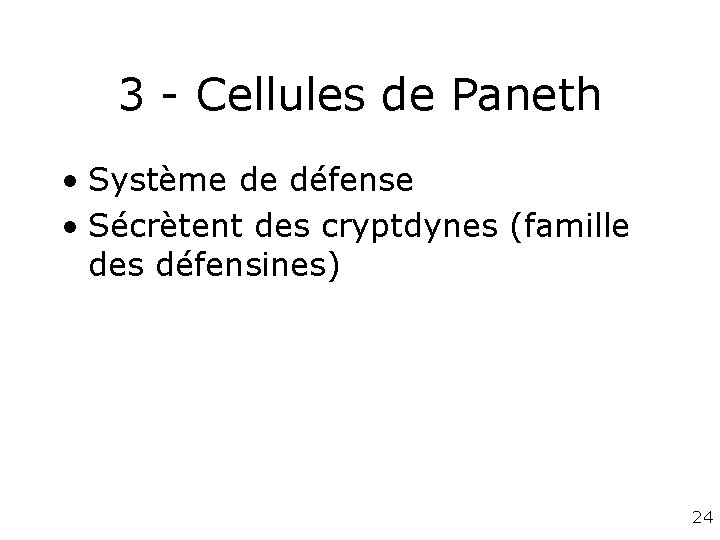 3 - Cellules de Paneth • Système de défense • Sécrètent des cryptdynes (famille