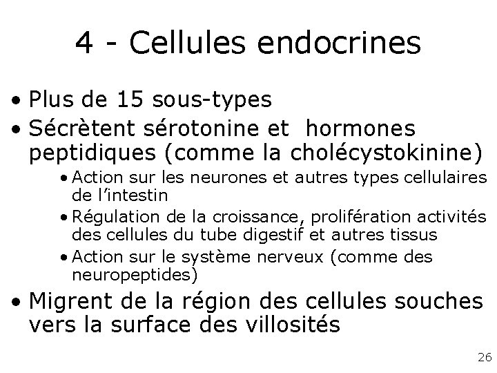 4 - Cellules endocrines • Plus de 15 sous-types • Sécrètent sérotonine et hormones