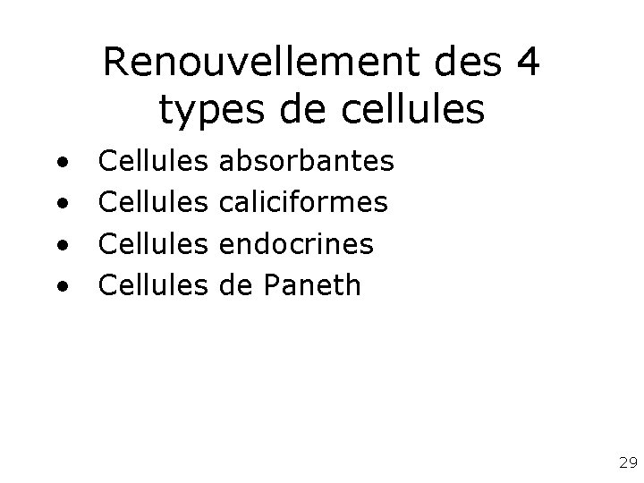 Renouvellement des 4 types de cellules • • Cellules absorbantes caliciformes endocrines de Paneth
