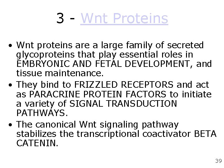 3 - Wnt Proteins • Wnt proteins are a large family of secreted glycoproteins