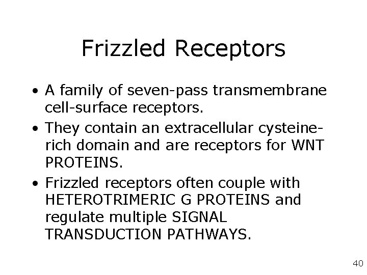 Frizzled Receptors • A family of seven-pass transmembrane cell-surface receptors. • They contain an