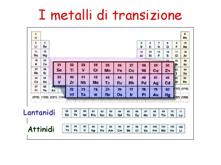 I metalli di transizione Lantanidi Attinidi 