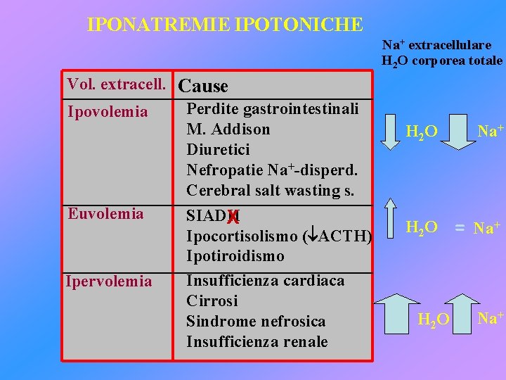 IPONATREMIE IPOTONICHE Na+ extracellulare H 2 O corporea totale Vol. extracell. Cause Perdite gastrointestinali