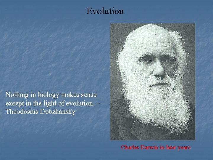 Evolution Nothing in biology makes sense except in the light of evolution. – Theodosius