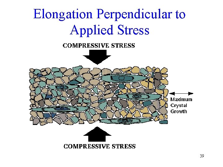 Elongation Perpendicular to Applied Stress 39 