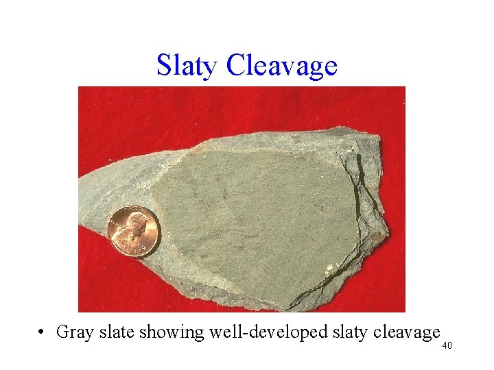 Slaty Cleavage • Gray slate showing well-developed slaty cleavage 40 