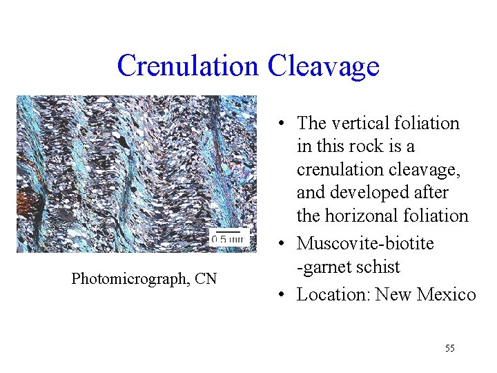 Crenulation Cleavage Photomicrograph, CN • The vertical foliation in this rock is a crenulation