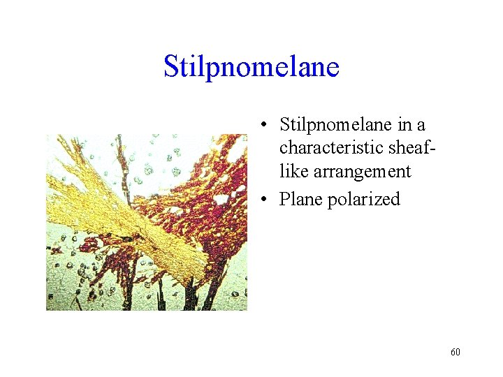 Stilpnomelane • Stilpnomelane in a characteristic sheaflike arrangement • Plane polarized 60 