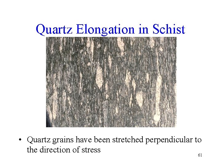 Quartz Elongation in Schist • Quartz grains have been stretched perpendicular to the direction