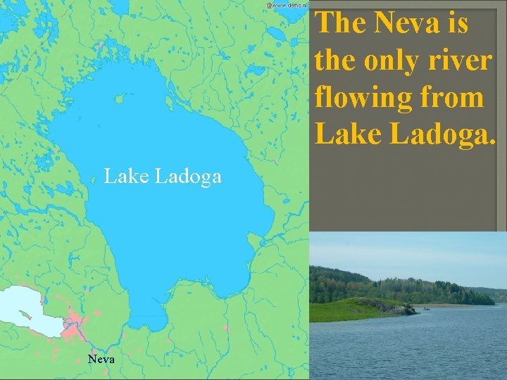 The Neva is the only river flowing from Lake Ladoga Neva 