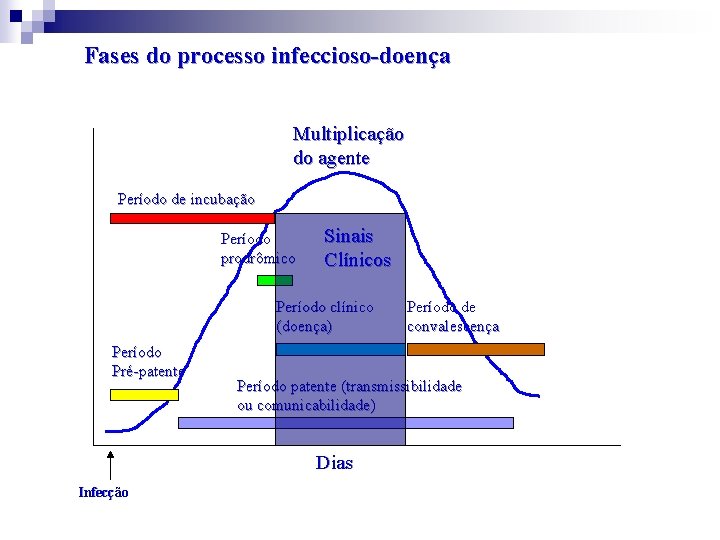 Fases do processo infeccioso-doença Multiplicação do agente Período de incubação Período prodrômico Sinais Clínicos