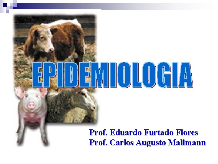 Prof. Eduardo Furtado Flores Prof. Carlos Augusto Mallmann 