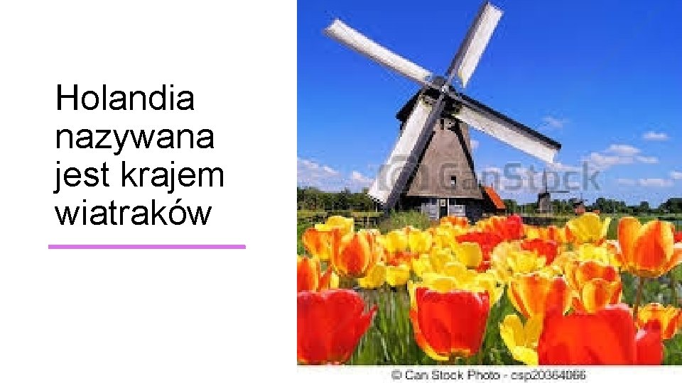 Holandia nazywana jest krajem wiatraków 