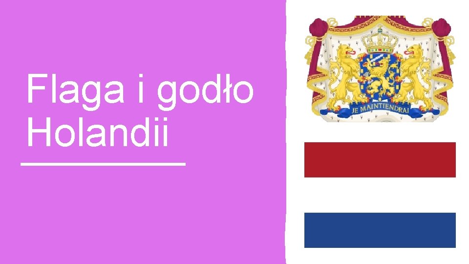 Flaga i godło Holandii 