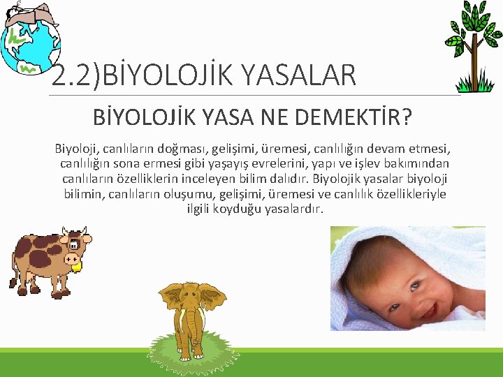 2. 2)BİYOLOJİK YASALAR BİYOLOJİK YASA NE DEMEKTİR? Biyoloji, canlıların doğması, gelişimi, üremesi, canlılığın devam