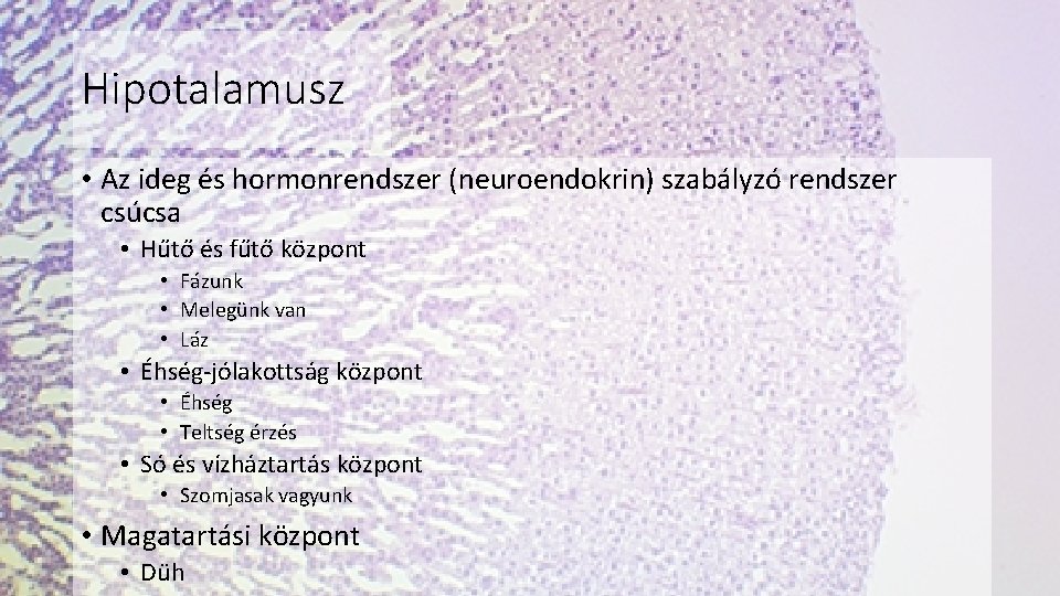 Hipotalamusz • Az ideg és hormonrendszer (neuroendokrin) szabályzó rendszer csúcsa • Hűtő és fűtő