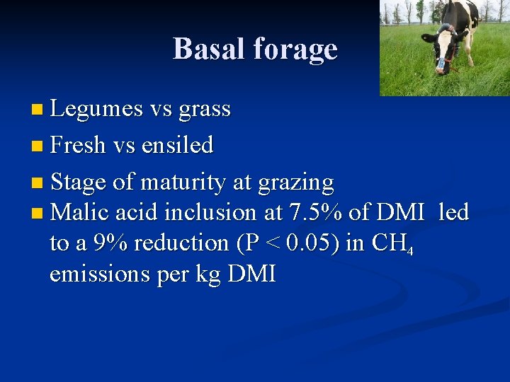 Basal forage n Legumes vs grass n Fresh vs ensiled n Stage of maturity