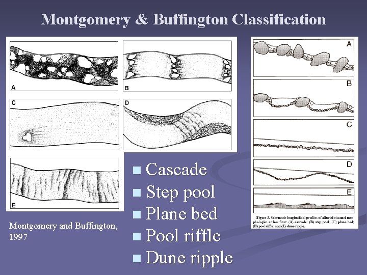 Montgomery & Buffington Classification n Cascade n Step pool Montgomery and Buffington, 1997 n Montgomery & Buffington Classification n Cascade n Step pool Montgomery and Buffington, 1997 n