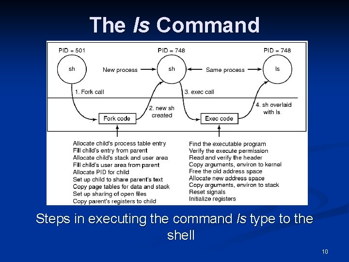 The ls Command Steps in executing the command ls type to the shell 10