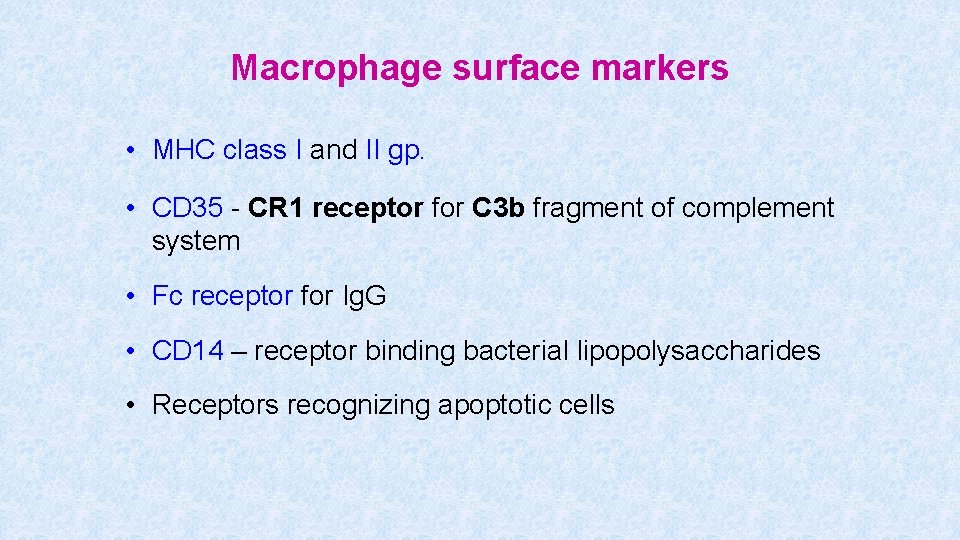 Macrophage surface markers • MHC class I and II gp. • CD 35 -
