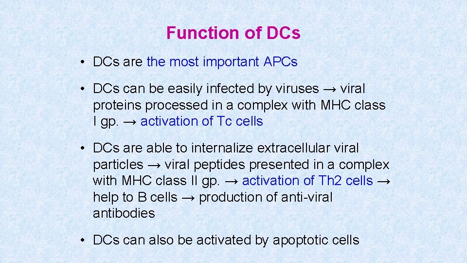 Function of DCs • DCs are the most important APCs • DCs can be