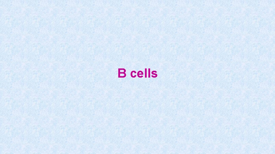 B cells 