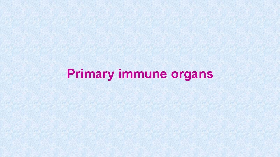 Primary immune organs 