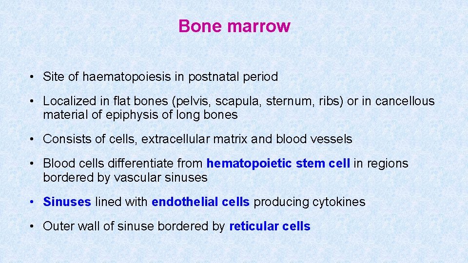 Bone marrow • Site of haematopoiesis in postnatal period • Localized in flat bones