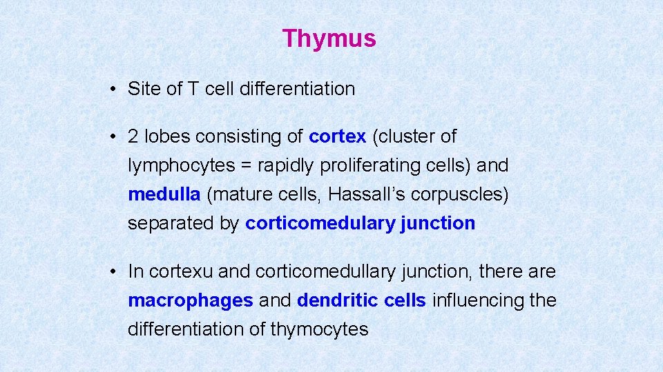 Thymus • Site of T cell differentiation • 2 lobes consisting of cortex (cluster