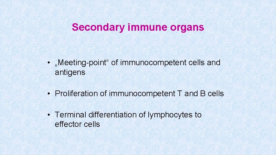 Secondary immune organs • „Meeting-point“ of immunocompetent cells and antigens • Proliferation of immunocompetent