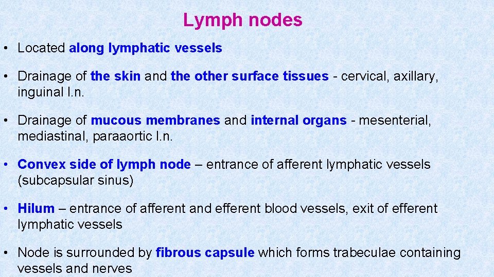 Lymph nodes • Located along lymphatic vessels • Drainage of the skin and the