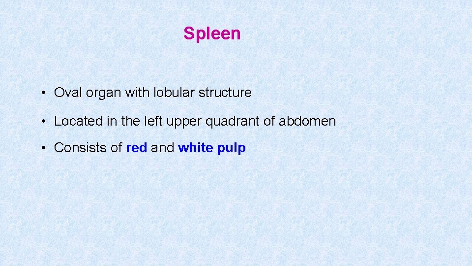Spleen • Oval organ with lobular structure • Located in the left upper quadrant