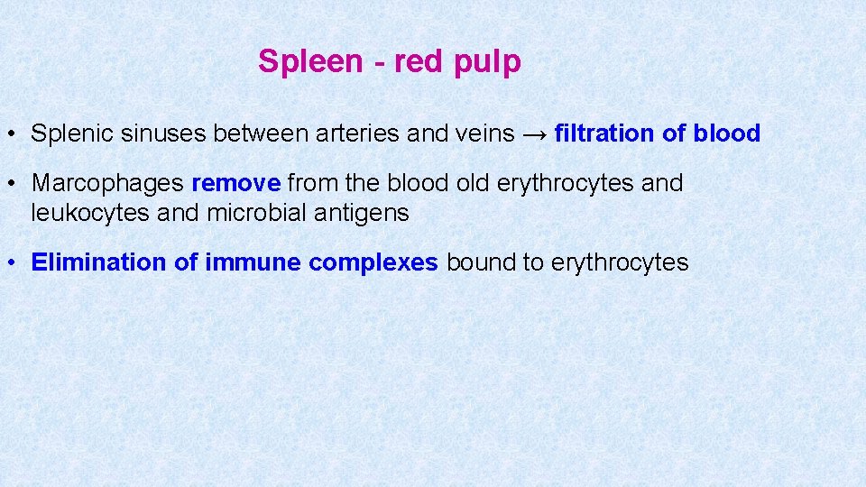 Spleen - red pulp • Splenic sinuses between arteries and veins → filtration of