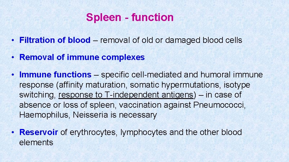 Spleen - function • Filtration of blood – removal of old or damaged blood